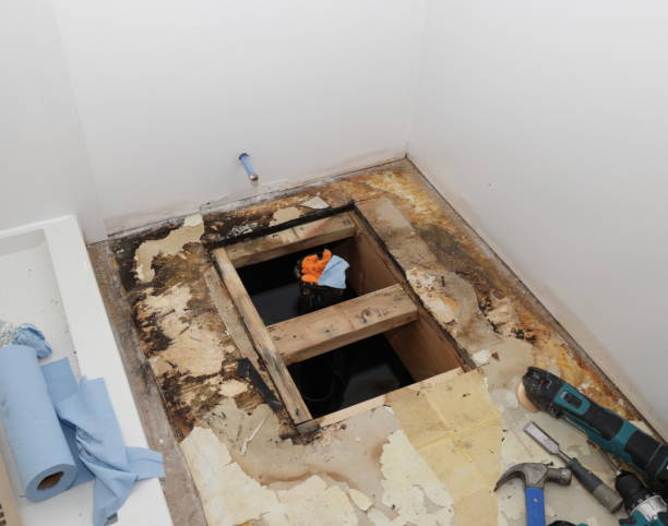 Best Health and Safety Mold Remediation in Cheltenham Village, PA